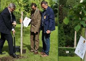 Minister Ardanowski posadził lipę miododajną