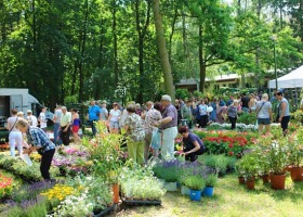 Dni Otwartych Drzwi 2019 w Zarzeczewie - relacja