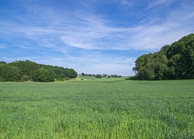 Europejska Nagroda NATURA 2000 - rusza kolejna edycja