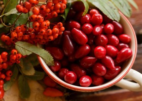 Zapomniane owoce - przepisy na nalewki, dżemy i syropy