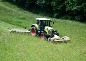 Dobrze utrzymana działka powinna być wykoszona