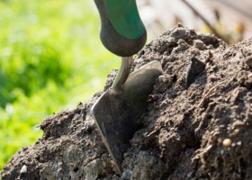 O roli próchnicy w glebie