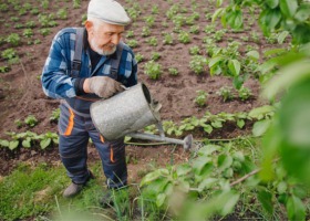 Raporty suszowe IUNG - czy są krzywdzące dla rolników?