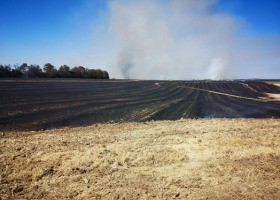 Spłonęło 170 hektarów: zboże, las i ciągnik