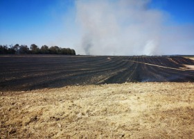 Spłonęło 170 hektarów: zboże, las i ciągnik
