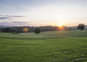 Niezagospodarowane działki KOWR dla rolników?