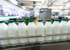 Podsumowanie na rynku mleka. Ile mleczarnie płacą hodowcom?