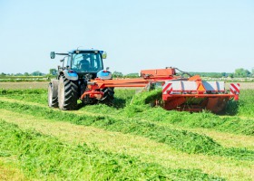 Kiszonki z traw i roślin motylkowatych – ich zalety i zasady przygotowania