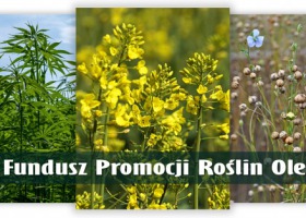 Nowy Fundusz Promocji Roślin Oleistych już działa