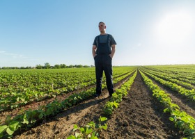 Dziedziczenie, a premia dla młodych rolników