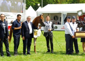 50. aukcja koni arabskich Pride of Poland w Janowie Podlaskim