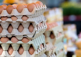 Rośnie popyt i ceny jaj w Unii Europejskiej