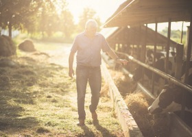 Czy będzie obniżenie wieku emerytalnego dla rolników?