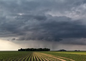 Rolnicy czekają na deszcz – czy sprawdzą się prognozy?