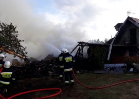 Pożar gospodarstwa. Strażacy uratowali 17 cieląt i budynki