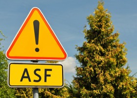 Na Kujawach boją się ASF