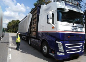 4,5 tony za dużo – ciężarówka przeładowana żywym drobiem