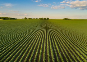 Corteva Agriscience i Pro Farm Technologies będą działać wspólnie