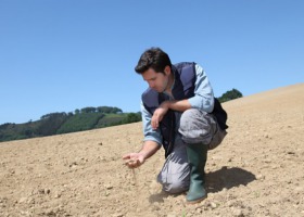 Czy rolnicy zdążą z wnioskami o pomoc suszową?