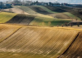 Zaliczki dopłat za 2019 rok: 1,285 mld zł na kontach rolników