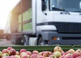 Kolumbia - to nowy rynek otwarty dla polskich jabłek