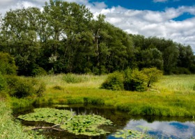 Nawet 500 tys. zł na "Inwestycje w gospodarstwach położonych na obszarach Natura 2000"