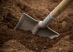 Pora zbadać jakość gleby - Krajowa Stacja Chemiczno-Rolnicza ostrzega przed fałszerzami