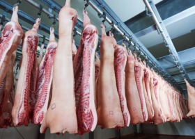 Konsolidacja branży mięsnej w walce z ASF