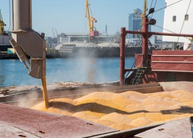 Import zbóż szkodzi polskim rolnikom