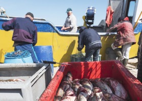 Rada Europejska o pomocy dla rybaków bałtyckich