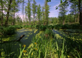 Upływa termin składania wniosków na "Inwestycje w gospodarstwach położonych na obszarach Natura 2000"