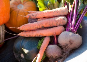 GUS podsumował zbiory warzyw w 2019 – jest lepiej niż myślano?
