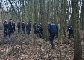 Dzik zaatakował trzy osoby - interweniowała policja