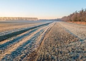 Susza rolnicza w środku zimy? Niestety…