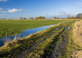 Jakie wyzwania dla rolników po ciepłym i deszczowym lutym?