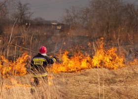 Rolnik za wypalanie traw odpowie przed sądem