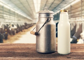Kryzys na rynku wołowiny i mleka przez COVID-19