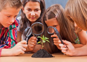 Za mało edukacji o rolnictwie w szkole podstawowej?