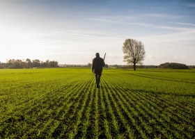 Pola znów pod ochroną myśliwych