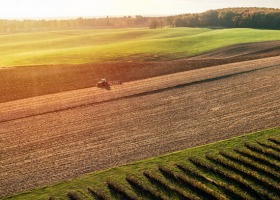 PIGMiUR interweniuje w sprawie rozpatrywania wniosków w ramach PROW