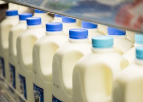Niepokojące działania na rynku mleka - lista zakładów importujących surowiec