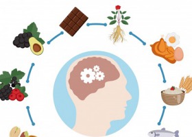 Dieta dla mózgu – czyli co jeść, aby poprawić pamięć?