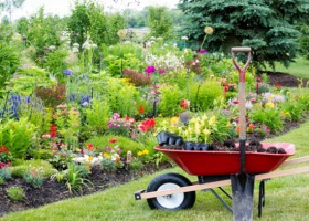 Do ogrodu po zdrowie - jaki wpływ ma na nas praca przy roślinach?