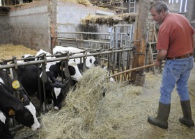 Komitet Regionów: potrzebny jest program redukcji produkcji mleka