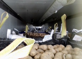 Kierowca wiózł za dużo ziemniaków