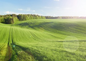 Ekoschematy - nowa płatność bezpośrednia