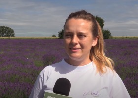 Z kamerą na lawendowych polach - "Lovenda Kujawska"