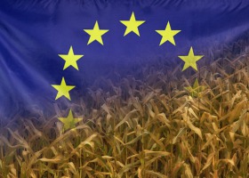 Komisja Europejska pyta o WPR