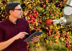 Czy roboty zastąpią pracowników w sadach?