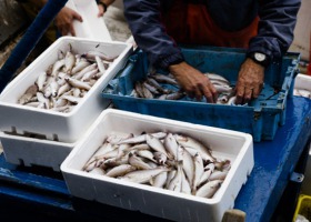 ARiMR dofinansuje inwestycje w bezpieczeństwo i zdrowie rybaków